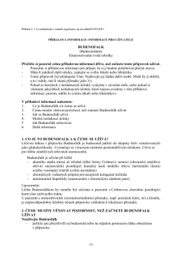 Budenofalk.pdf