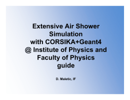 Extensive Air Shower Simulation with CORSIKA+Geant4 @ Institute