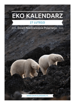 Pakiet edukacyjny - Dzień Niedźwiedzia Polarnego