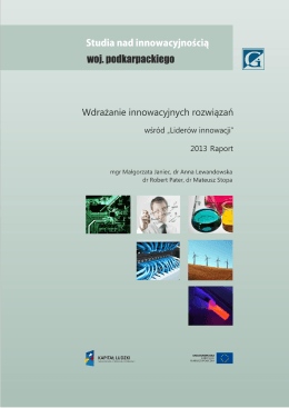 Raport 2013 - Instytut Gospodarki