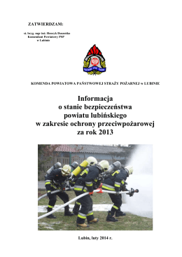 Informacja o stanie bezpieczeństwa powiatu lubińskiego w zakresie