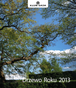 Więcej informacji w publikacji Drzewo Roku 2013