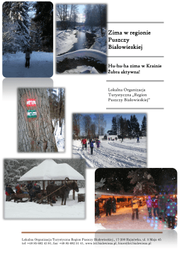 Zima w regionie Puszczy Białowieskiej