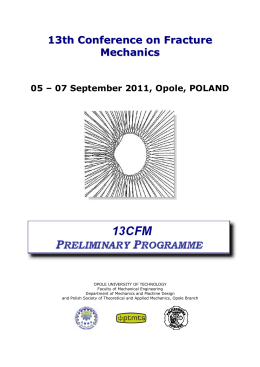 13CFM_Preliminary Programme - CESTI