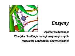Enzymy jako biokatalizatory