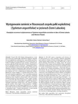 Typhetum angustifoliae - Studia Limnologica et Telmatologica