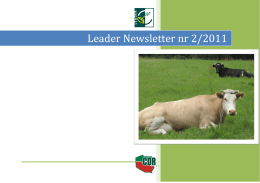 Leader Newsletter nr 2