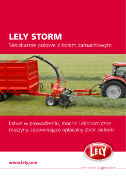 LELY STORM