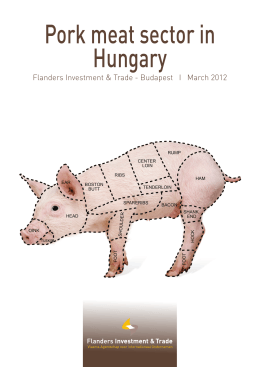 Pork meat sector in Hungary