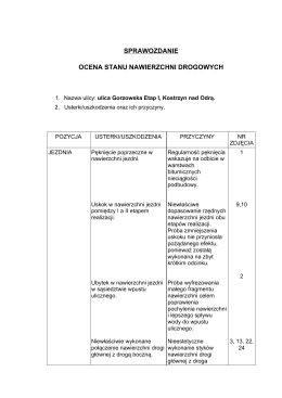 Sprawozdanie_ul_Gorzowska_1