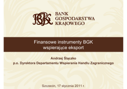Finansowe instrumenty BGK wspierające eksport