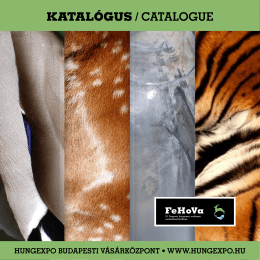 KATALÓGUS / CATALOGUE