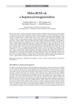 MikroRNS-ek a hepatocarcinogenesisben