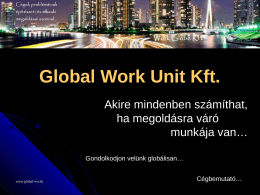 Global Work Unit Kft