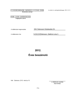 2012. evi beszamolo - DKV.PDF - Szerződés