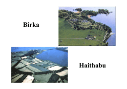 IV. birka, haithabu.pdf