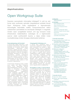 Novell Open Workgroup Suite flyer