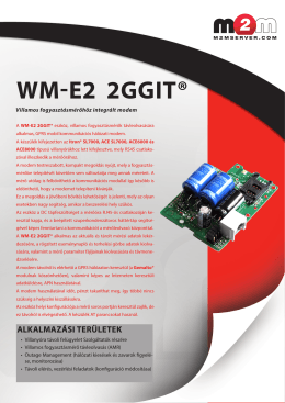 WM-E2 2GGIT® - Wireless