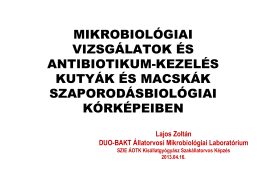 Mikrobiológiai vizsgálatok és antibiotikum