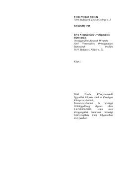 JNO-377-5-2010 előkészítő irat Nagymányok közigazgatási per