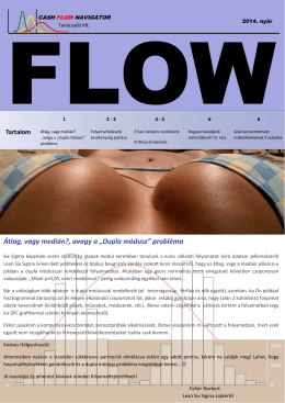 FLOW 2014. nyár - LEAN SIX SIGMA tanácsadás