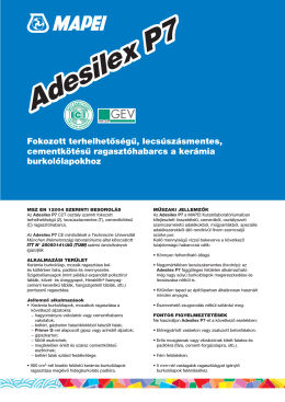 Adesilex Adesilex P7