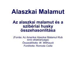 Az alaszkai malamut és a szibériai husky összehasonlítása