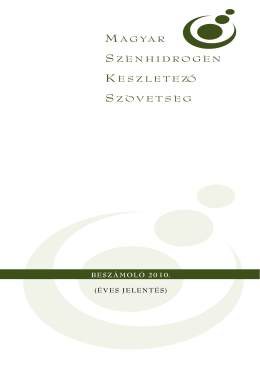 Éves jelentés 2010 - Magyar Szénhidrogén Készletező Szövetség
