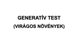 GENERATÍV TEST
