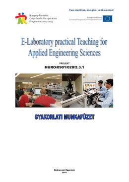 Practical e-laboratory workbook PP HU