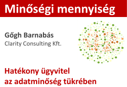 Gőgh Barnabás, Clarity Consulting Kft.