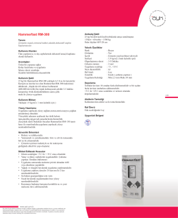 Hammerfast RM-300 - AYK Yapı Kimyasalları