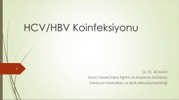 HBV DNA - Klimik