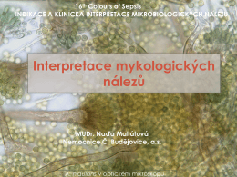 Interpretace mykologických nálezů