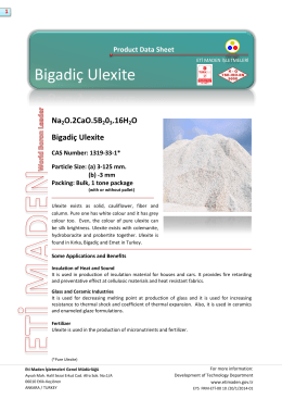 Bigadiç Ulexite - Eti Maden İşletmeleri