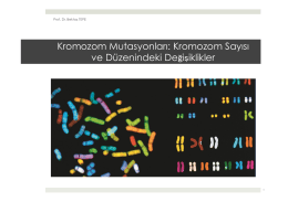 9. Kromozom Mutasyonları-Kromozom Sayısı ve Düzenindeki