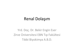 Renal Dolaşım - Zirve Üniversitesi