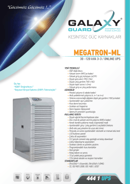 MEGATRON-ML