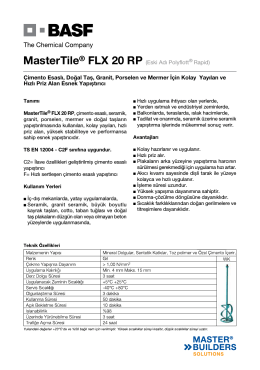 MasterTile® FLX 20 RP (Eski Adı Polyflott® Rapid