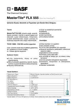 MasterTile® FLX 555 (Eski Adı Fleksfuga®) Çimento
