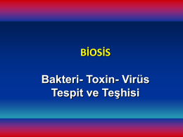 BioSiS Bakteri Toxin Virüs Tespit Teşhisi ayrıntılı bilgi dokümanı (pdf)