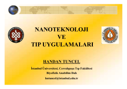 1-NANO-TURKCE-2014.ppt [Uyumluluk Modu].
