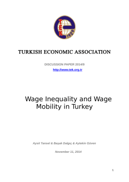 Wage Inequality and Wage Mobility in Turkey