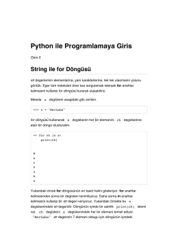 Python ile Programlamaya Giris