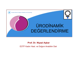Prof. Dr. Niyazi Aşkar