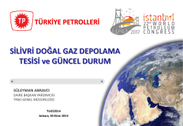 Süleyman Abravcı (TPAO) - Türkiye Uluslararası Yeraltı Doğal Gaz
