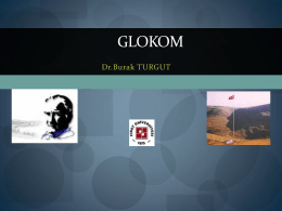 GLOKOM - ResearchGate