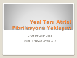 Özlem Özcan Çelebi - 4. atriyal fibrilasyon zirvesi 2015