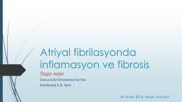 Özgür Arslan - 4. atriyal fibrilasyon zirvesi 2015