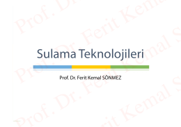 File - Prof. Dr. Ferit Kemal Sönmez